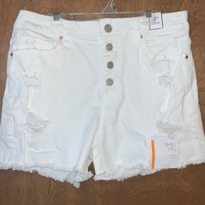 NWT Time and Tru white, distressed, button fly shorts